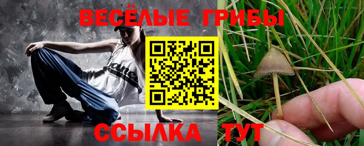 Галлюциногенные грибы мухоморы  Вход с VPN  Черняховск 